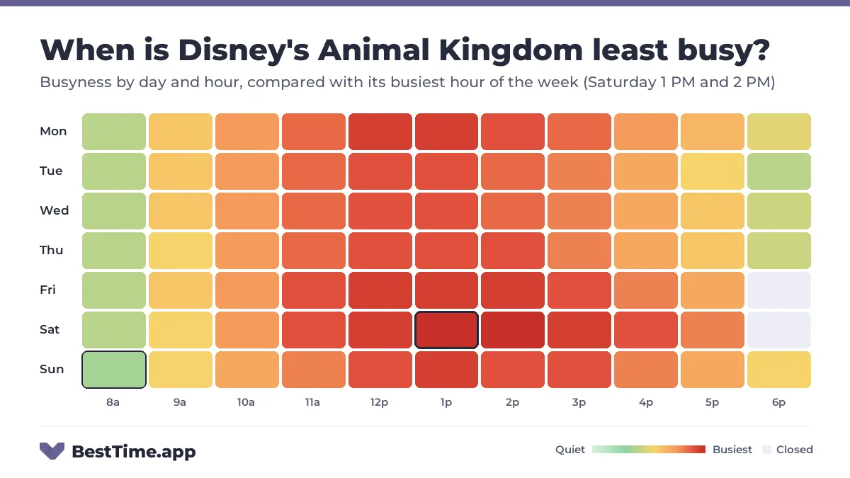 Heatmap of Disney's Animal Kingdom busyness by day and hour. Quietest day: Tuesday. Busiest: Saturday 1 PM and Saturday 2 PM.